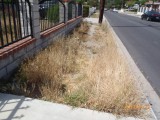 cut lawn before City of Torrance