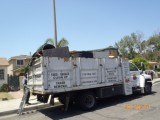 junk removal Bell dump truck